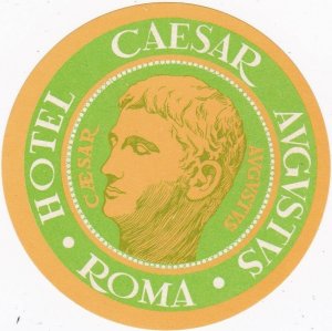 Italy Rome Hotel Caeser Augustus Vintage Luggage Label sk3383