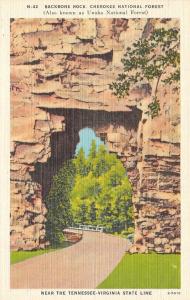 TN, Tennessee  BACKBONE ROCK  Cherokee National Forest~UNAKA  c1940's Postcard