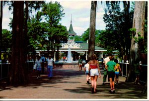 Florida Silver Springs Entrance