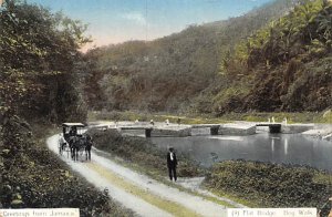 Jamaica, Jamaique Post card Old Vintage Antique Postcard Flat Bridge Bog Walk...