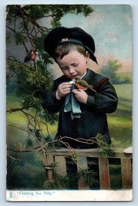 Spring Grove Minnesota MN Postcard Little Boy Feeding The Pets Birds Tuck 1907