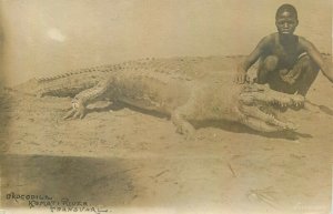 South Africa Transvaal Komati river crocodile & native boy real photo postcard 