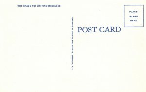 Vintage Postcard 1930's U.S. Highway Between Lakemont And Clayton Georgia GA