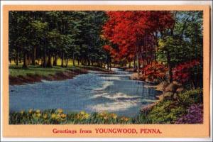 Greetings from Youngwood PA