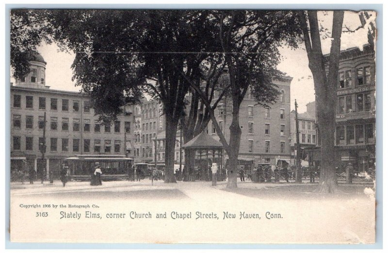 1905 Stately Elms Corner Church Chapel Streets New Haven Connecticut CT Postcard