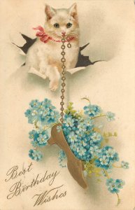 Embossed Postcard White Cat Holds Shoe and Flowers On A Chain Birthday Wishes 19