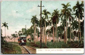 On The Road To Camino De Guanajay Cuba Coconut Palm Trees Railway Train Postcard