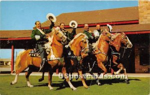 Internationally Famous Long Beach Mounted Police , CA