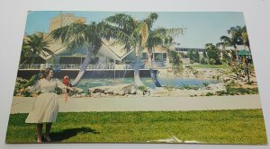 Parrots Busch Gardens Tampa Florida Vintage Postcard