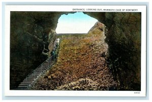 c1940's Entrance Looking Out Mammoth Cave Of Kentucky KY Vintage Postcard