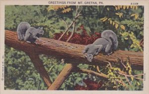 Greetings From Mountain Gretna Pennsylvania 1950