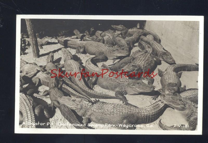 RPPC WAYCROSS GEORGIA ALLIGATOR PIT OKEFENOKEE SWAMP PARK OLD POSTCARD