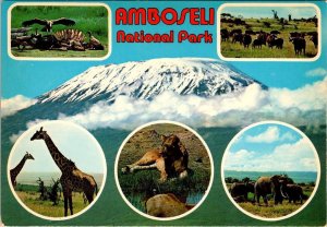 Kenya  AMBOSELI NATIONAL PARK  Wildlife~Elephants~Giraffes~Lions  4X6 Postcard