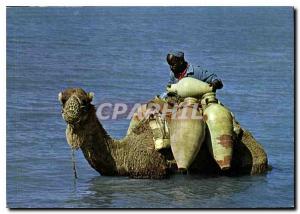 Postcard Modern Djerba