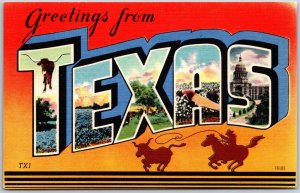 Texas TX, Large-Letter Greetings, Longhorn Steer, Bluebonnets, Cowboy, Postcard