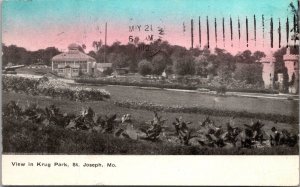 Scenic View in Krug Park, St Joseph MO c1910 Vintage Postcard W66