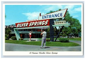 Vintage Silver Springs Flordia Postcard P132E