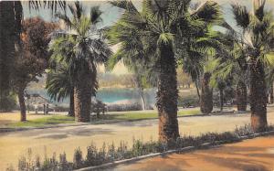 Lake in the Park West Palm Beach Florida 1934 hand colored postcard