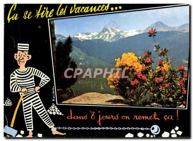 Postcard Modern Genets and Rhododendrons in the Massif Carlitte basically the...