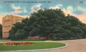 Vintage Postcard 1910's The Friendship Oak at  Gulf Park College Gulfport Miss.