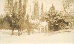 Postcard RPPC Minnesota Beltrami Logging lumber Occupation 23-3699