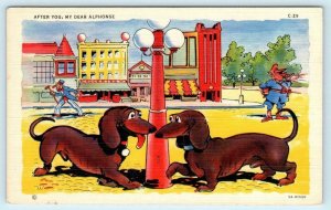 RAY WALTERS Dog Comic DACHSHUNDS After You Alphonse c1940s Linen Postcard