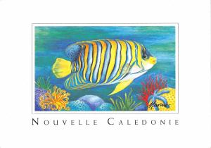 BT12683 Le Poison ange fish piossons Nouvelle caledonie      New Caledonia