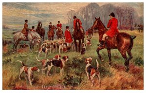 Dog ,The Meet   ( Fox Hunt )