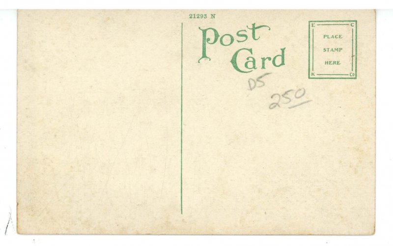 NY - Rochester. YMCA, Central Building