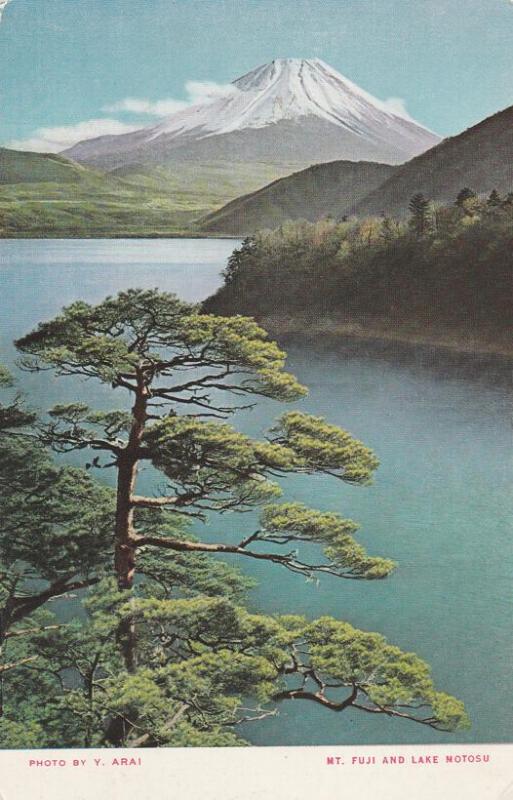 Mount Fuji, Japan and Pine Trees from Lake Motosu