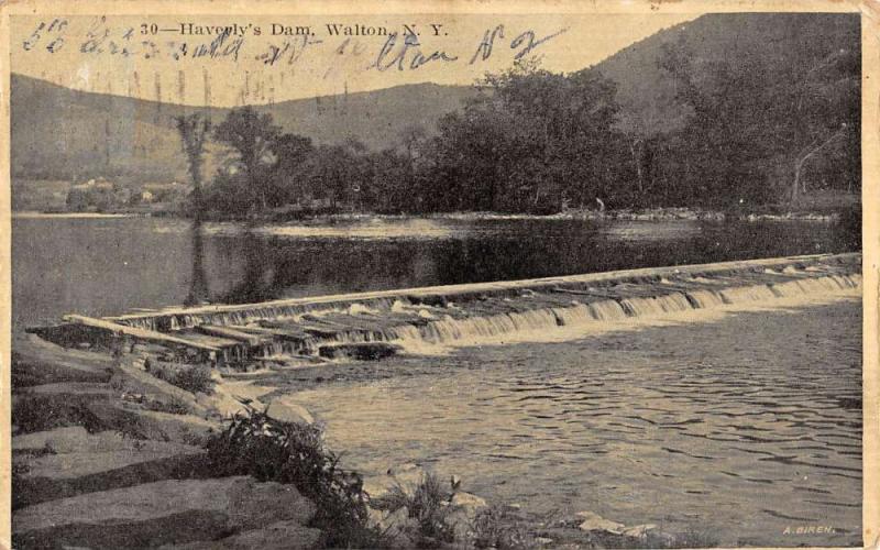 Walton New York Haverlys Dam Scenic View Antique Postcard K57706