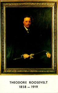 Theodore Roosevelt Painting By DeLazzlo