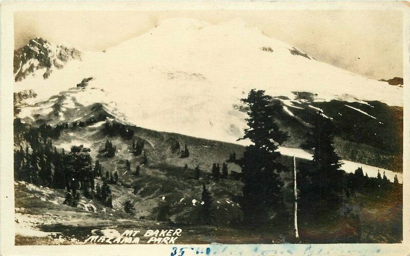 1920s Mt Baker Mazalama Park Washington RPPC Photo Postcard 20-3842