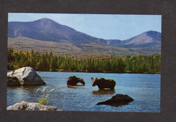 ME Mt Mount Katahdin Baxter State Park MAINE Postcard Sandy Stream Pond