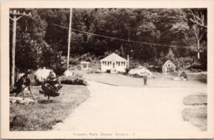 Forestry Park Dorset Ontario ON Muskoka Unused Vintage Postcard E16  