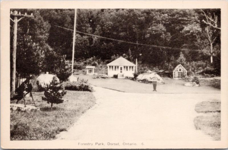 Forestry Park Dorset Ontario ON Muskoka Unused Vintage Postcard E16  