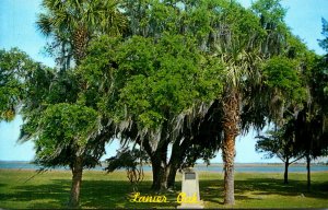 Georgia Macon The Lanier Oaks