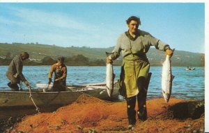 Sports Postcard - Fishermen, Salmon Fishing, Posted in 1975 - Ref 4437A