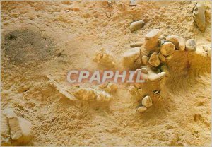 Postcard Modern Museum of Man exhibition The First Settlers of Europe Firepla...