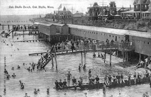 Oak Bluffs MA Busy Day at Oak Bluffs Beach Postcard