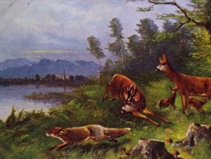 Deer Chasing Fox Postcard Wildlife Forest Lake Mountains Scenic Germany 1909