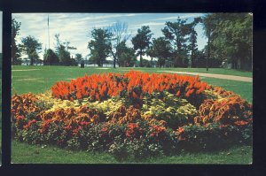 New Bedford, Massachusetts/MA/Mass Postcard, Flower Bed At Hazelwood Park
