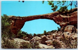 M-63348 Owachomo Bridge Natural Bridges National Monument Utah