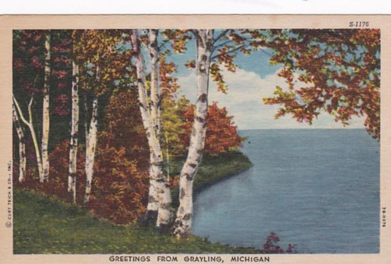 Michigan Greetings From Grayling 1953 Curteich
