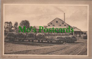 Australia Postcard - Sugar Mill, North Queensland SW9162
