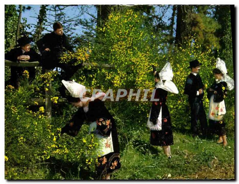 Postcard Modern Girls Celtic ceercle Ar Roued of Concarneau Gals picking the ...