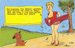 Enjoying This Breezy Weather Woman Dress Flies Up Comic Humor linen postcard