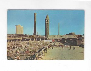 Vtg 50's Chicago Stock Yards, Chicago, Illinois Postcard