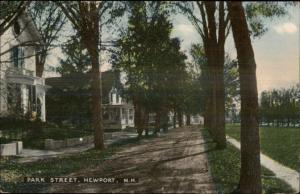 Newport NH Park Street c1910 Postcard