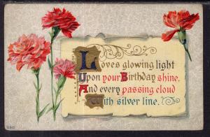 Birthday Carnations BIN